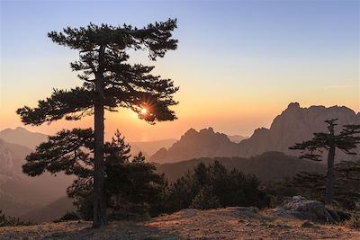 Vue depuis le col de Bavella sur la côte orientale sur le massif de la Punta di Ferriate - Quenza - Alta Rocca - Corse du Sud - France