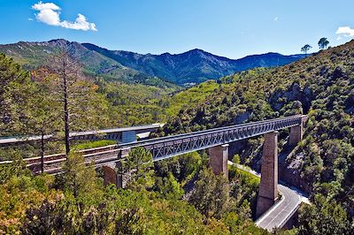 Gare ferroviaire au cœur de la nature - Corse - France