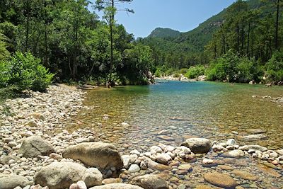 Alta Rocca - Corse