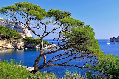 Calanques - Sormiou - Provence-Alpes-Côte d'Azur - France