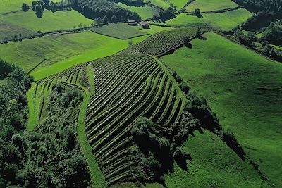 Voyage Charme et confort du Pays basque 3