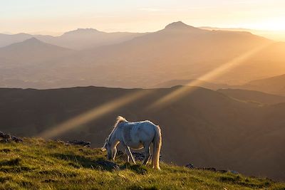 Charme et confort du Pays basque