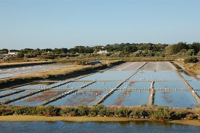 L'Île de Noirmoutier - France