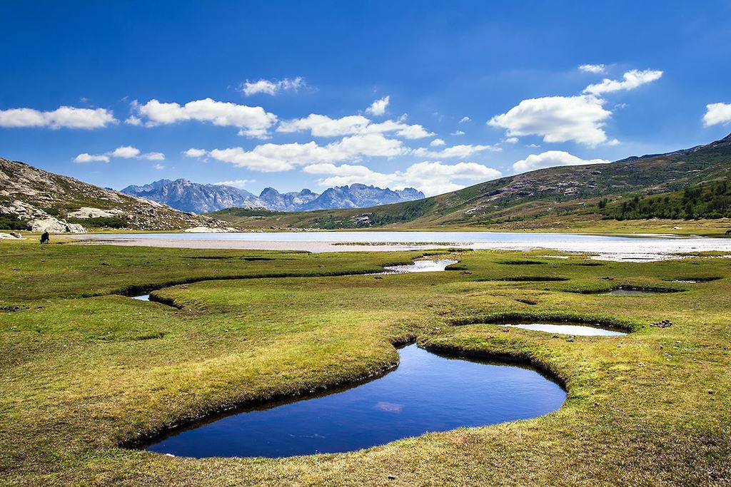 Voyage Culture et patrimoine corses 1