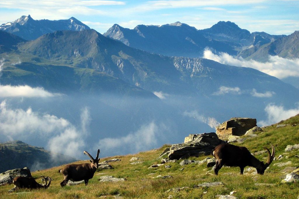 Voyage GTA, de Chamonix à Modane par le GR5