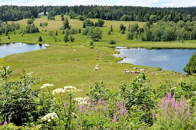 Parc naturel régional du Haut-Jura - France