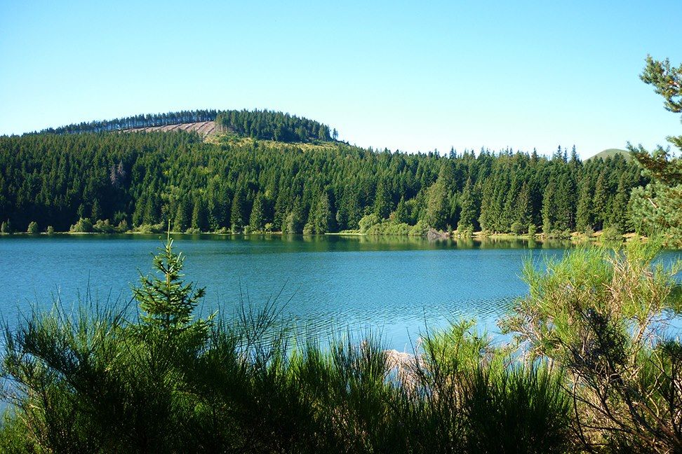 Voyage Au cœur des géants d'Auvergne 2