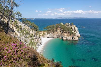 © LECLERCQ Olivier / hemis.fr - Cap de la Chèvre - Presqu'île de Crozon - France Cap de la Chèvre - Presqu'île de Crozon - France