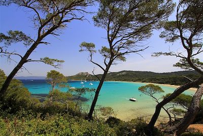 Voyage Provence - Côte d'Azur