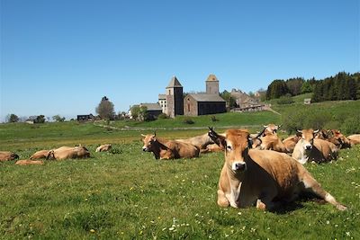 Voyage Les chemins du Puy-en-Velay à Aumont-Aubrac 2