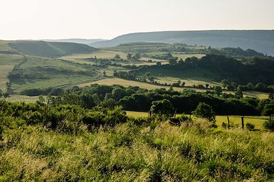 Voyage Chemins de Compostelle du Puy à Aumont-Aubrac 1