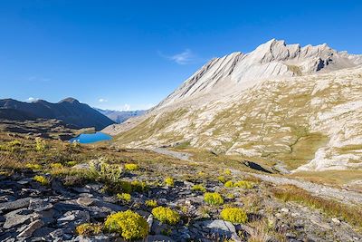 Lac de montagne - Parc naturel du Queyras - France