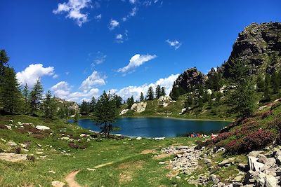 Voyage Alpes du Sud