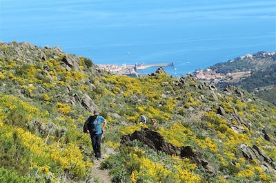 Randonnée sur les hauteurs de Collioure - France