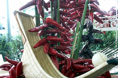 Piments - Pays basque - France