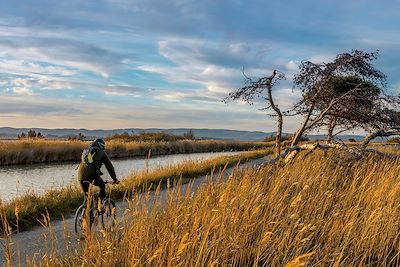 Vélo - Canal du Midi - France