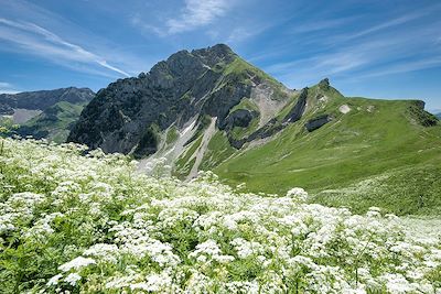 Voyage Lacs et montagnes des Bauges en VTT électrique 3