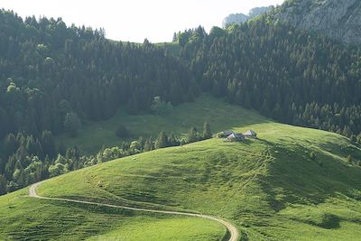 Trélod - Massif des Bauges - Savoie - France