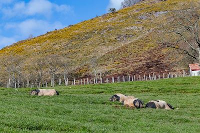 Voyage Les beautés du Pays basque à vélo électrique 1