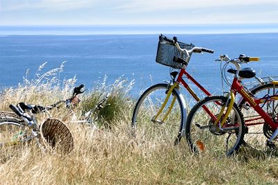 Rando vélo sentier côtier - Golfe du Morbihan - Bretagne - France