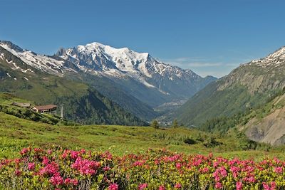 Tour du mont Blanc - Alpes du Nord - France