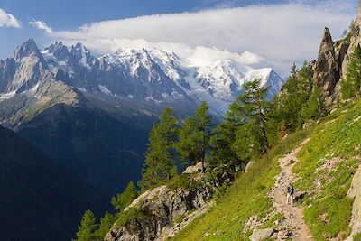 Randonneur sur le tour du Mont Blanc - Argentière - Haute Savoie - France