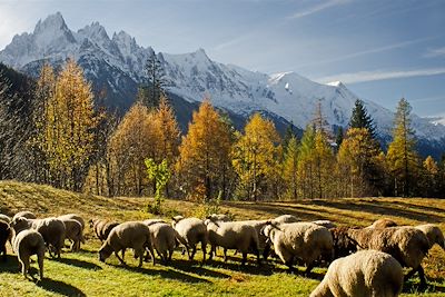 © Office vallée de Chamonix - Tour du mont Blanc - Alpes du Nord - France Tour du mont Blanc - Alpes du Nord - France