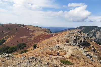 Voyage Massif Central