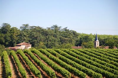 © Collection Tourisme Gers/CDT32/C. Castex - Vignes - Gers - Sud-Ouest - France Vignes - Gers - Sud-Ouest - France