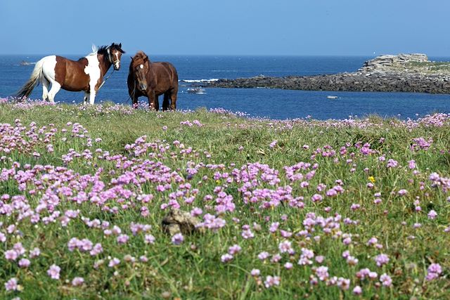 Randonnée : Bien-être et thalasso : de Roscoff à l'île de Batz Voyage Bien-être et thalasso : de Roscoff à l'île de Batz