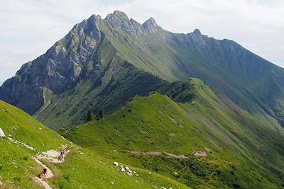 © Thibault Von Euw - Col de la Bolire - France Col de la Bolire - France