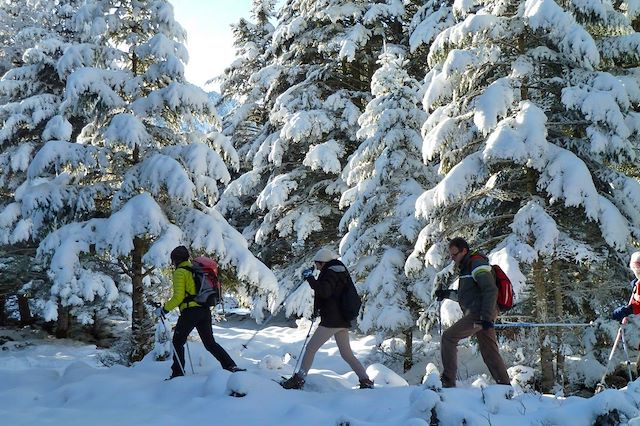 Voyage Terroirs du Pays basque en hiver