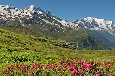 © Patrice Labarbe - Tour du mont Blanc - Alpes du Nord - France Tour du mont Blanc - Alpes du Nord - France
