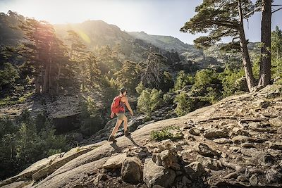 © week end 61 / Getty - Randonnée dans la foret, Corse Randonnée dans la foret, Corse