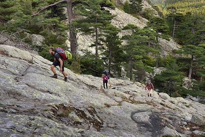 © RIEGER Bertrand / hemis.fr - randonnée dans la forêt de Vizzavona, Corse randonnée dans la forêt de Vizzavona, Corse
