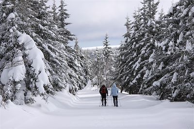 Voyage Massif Central