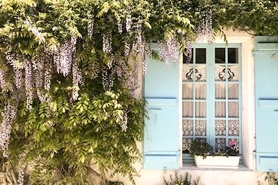 Marais Poitevin - France
