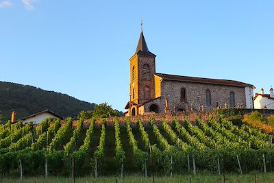Vignoble d’Irouléguy et église d’Ispoure - Pays-Basque - France