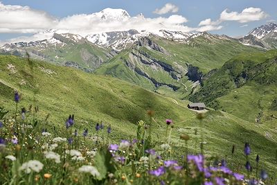 Voyage Alpes du Nord