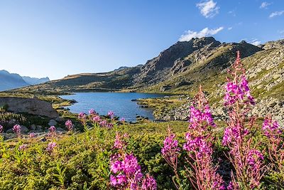 © CAVALIER Michel / hemis.fr - Vallée de La Clarée - Hautes-Alpes - France Vallée de La Clarée - Hautes-Alpes - France
