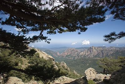 © Laurent Boiveau - Col de Bavella - Corse Col de Bavella - Corse