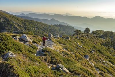 © GUIZIOU Franck / hemis.fr - Étape entre Prati et Capannelle - GR 20 - Haute-Corse - France Étape entre Prati et Capannelle - GR 20 - Haute-Corse - France