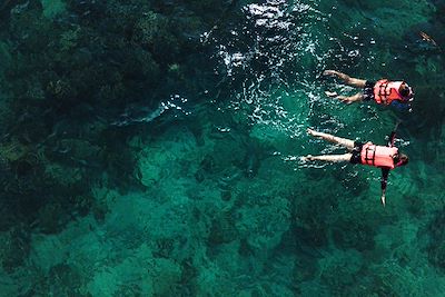 Voyage Provence - Côte d'Azur