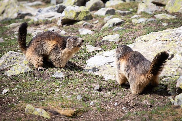 © Thibaut Blais / Pays des Ecrins