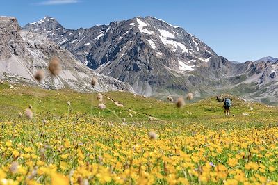 Randonnée dans le Parc national de la Vanoise - Savoie - France