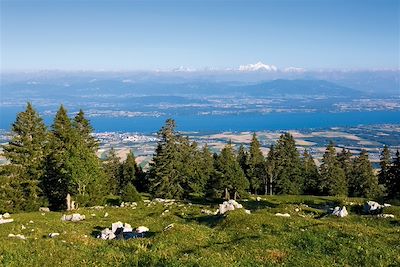 © Roland Gerth / Switzerland Tourism - Le Lac Léman - Suisse Le Lac Léman - Suisse