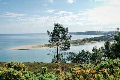 © Marianne Furlani - Plage de Sables-d'Or-les-Pins - Bretagne - France Plage de Sables-d'Or-les-Pins - Bretagne - France