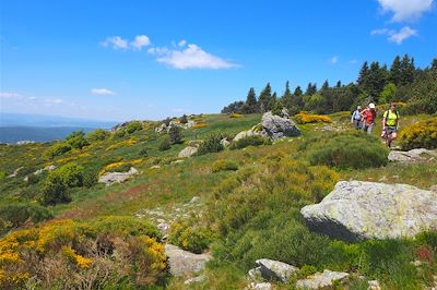 Voyage Massif Central
