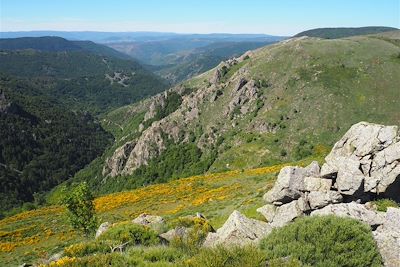 Voyage Massif Central