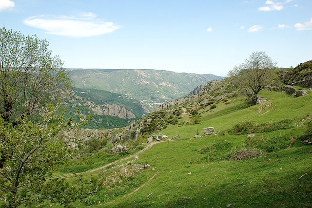 Voyage Rando bien-être à Bagnols-les-Bains